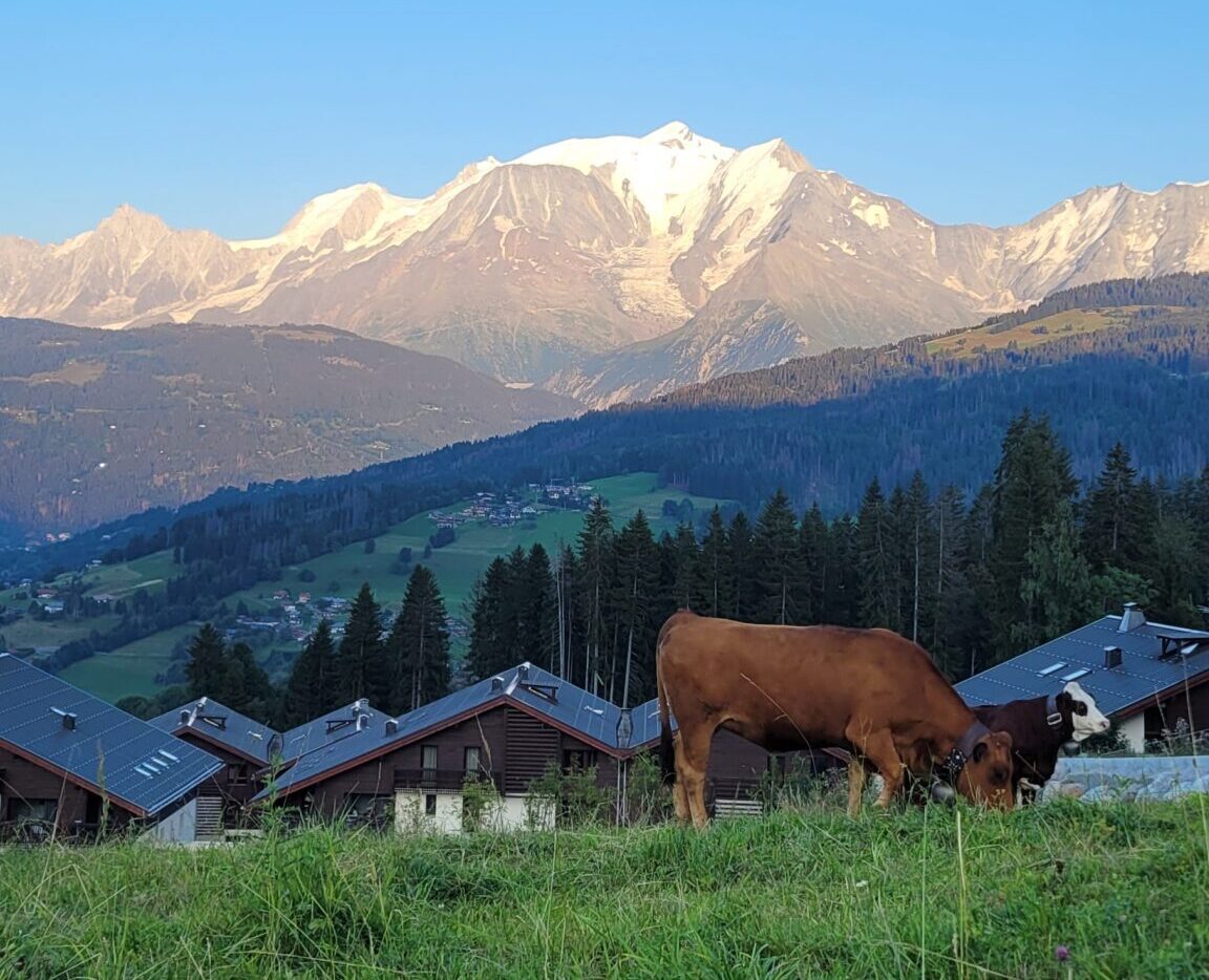 Exploring the French Alps and beyond in summer